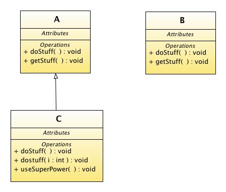 Polymorphism.jpg