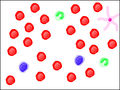 Thumbnail for version as of 22:07, 29 July 2010